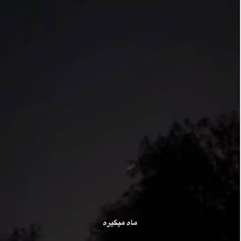 عادل میرزایی موهات میاد رو صورتت ماه میگیره حبیبی