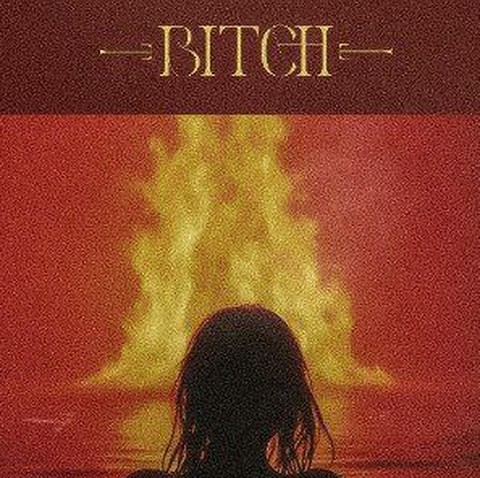 حسام تی ام Bitch