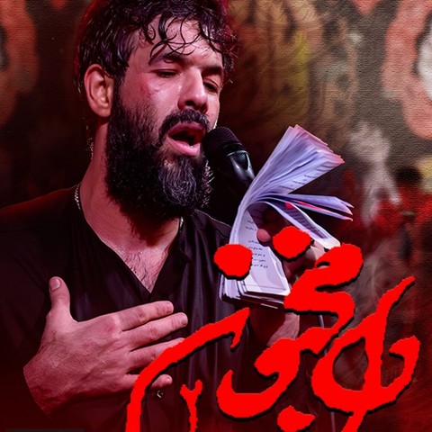 حسین ستوده دل مجنون 2