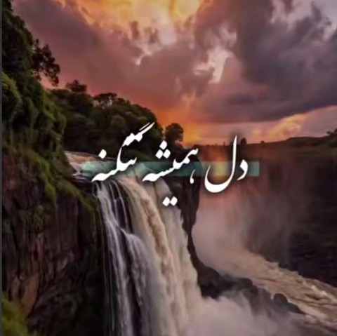 محمد ملایی دل همیشه تنگته