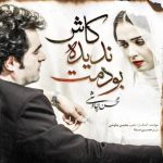 دانلود آهنگ محسن چاوشی کاش ندیده بودمت