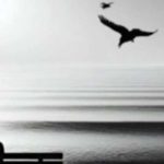 دانلود ریمیکس رپ پوریا دالوند و علی سورنا خدا هم علاج منه غمگین نمکه