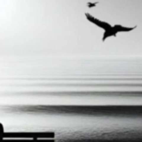 پوریا دالوند و علی سورنا خدا هم علاج منه غمگین نمکه