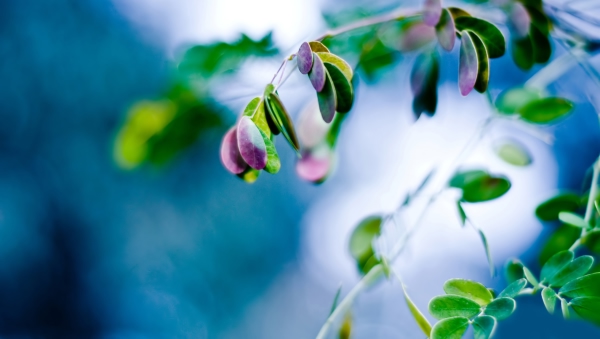 اشکان پناهی یار دلنواز