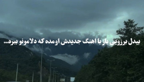 بیدل برزویی دلبر و دلدار ماه شب تار