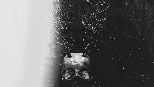 نقش آواز پرنده