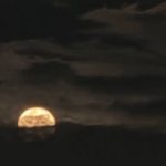 دانلود آهنگ امید و پارسا و آریان هنوزم میون من و تو یه عشق کوتاهه دانلود آهنگ امید و پارسا و آریان هنوزم میون من و تو یه عشق کوتاهه