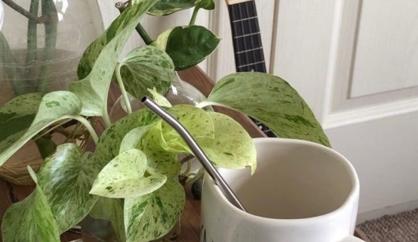سهراب پورناظری رقص باد