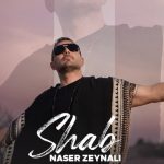 دانلود آهنگ ناصر زینلی شب