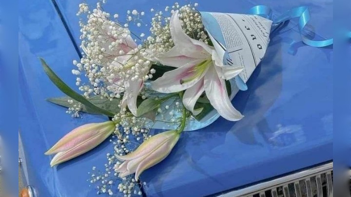 مسلم فتاحی هنوزم جای انگشتات روی برگای گلدونه مسلم فتاحی هنوزم جای انگشتات روی برگای گلدونه