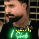 دانلود آهنگ یک شب از پوریا محمدی همراه متن و کیفیت عالی