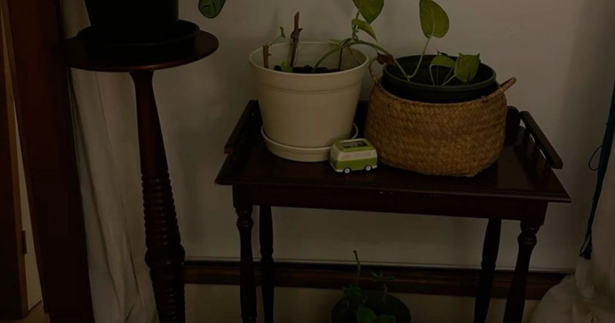 کیوان داوودی نمیاد