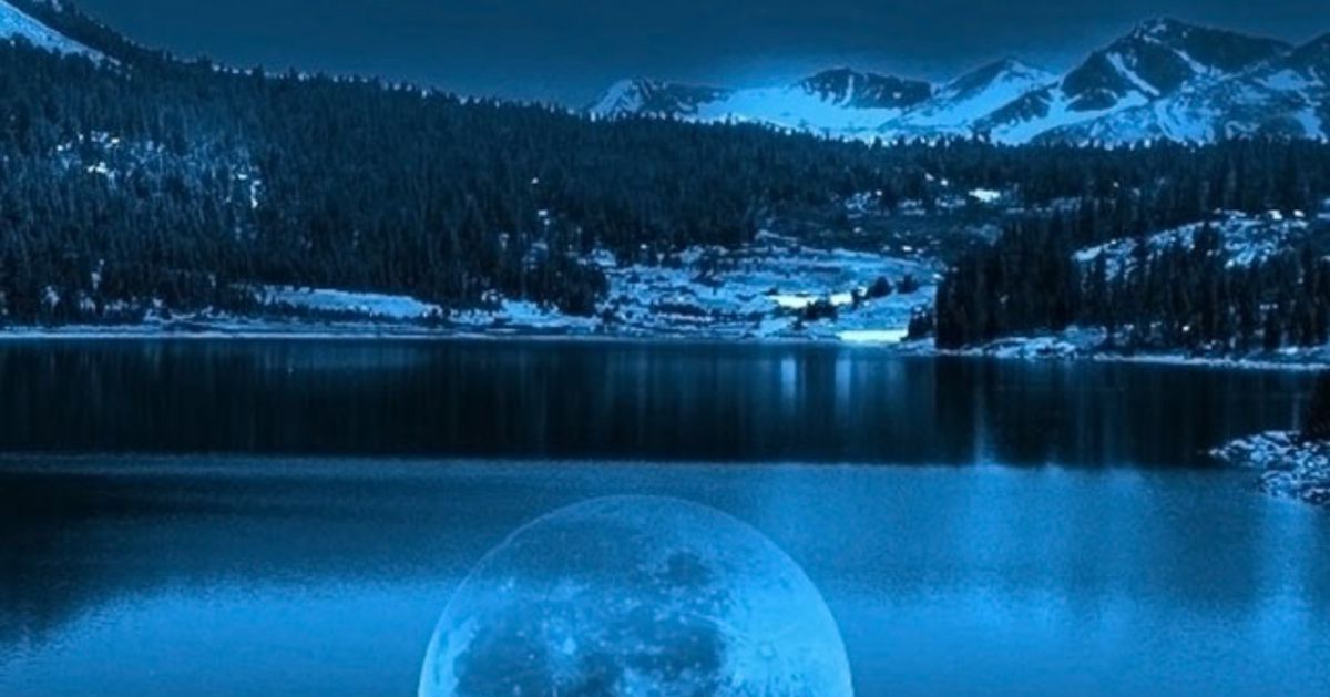 کوروش و رها غریبه