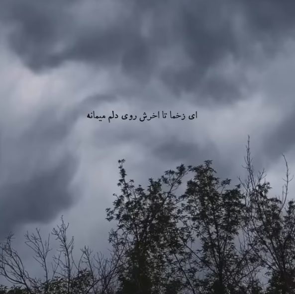 رضا کرمی تارا من شدم دیوانه ای زخما تا آخرش روی دلم میمانه رضا کرمی تارا من شدم دیوانه ای زخما تا آخرش روی دلم میمانه