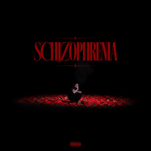 بیگ شگی شیزوفرنیا Schizophrenia بیگ شگی شیزوفرنیا Schizophrenia