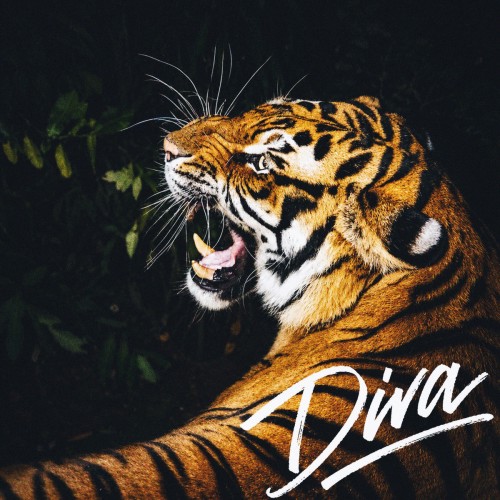 بوراک بولوت دیوا Diva