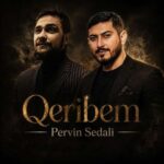 دانلود آهنگ غریبم از پروین صدالی ورژن ترند اینستا