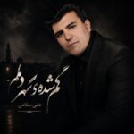 دانلود آهنگ گمشده شهر دلم از علی سلامی سبک عاشقانه و احساسی