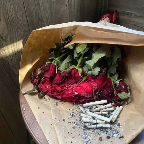پیدار معذرت میخوام