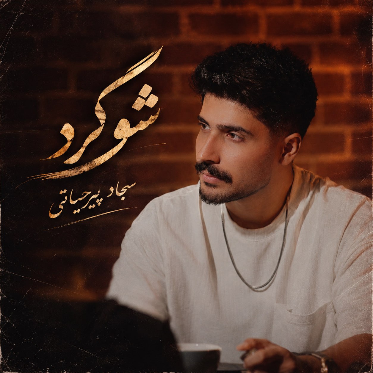 سجاد پیرحیاتی شوگرد
