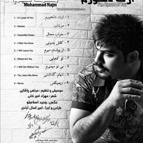محمد نجم مرداب