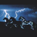 دانلود آهنگ نبودی ببینی من چه بی تو هیچم از هوش مصنوعی همراه متن و کیفیت عالی