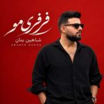 دانلود آهنگ فرفری مو از شاهین بنان همراه متن و کیفیت عالی